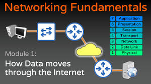 Network Fundamentals